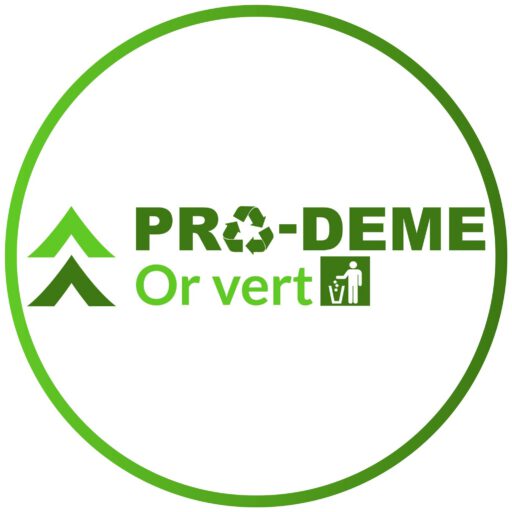 415112662 1115783966401745 7294670535584001334 n.jpg